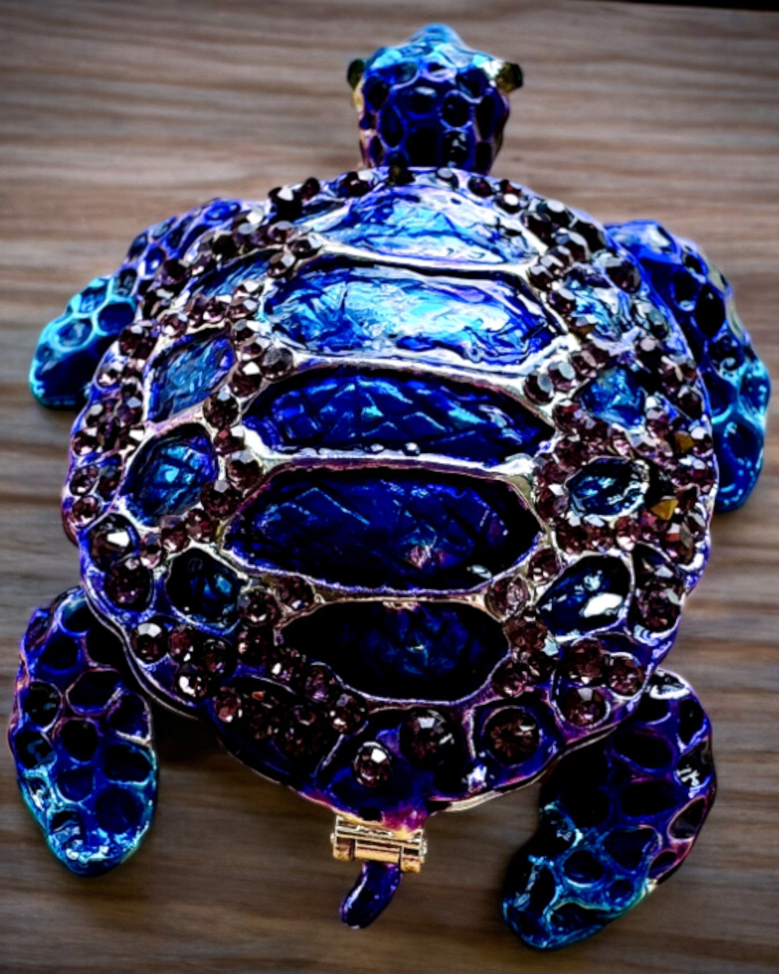 Magical Turtle Treasure - Papuošalų Dėžutė su galimybe personalizuoti graviravimu, dovana